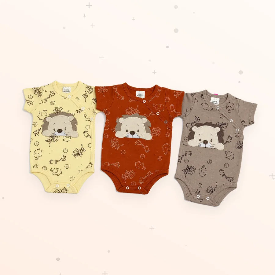 Kits de body